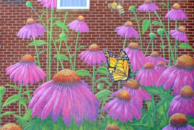 Summer Buzz